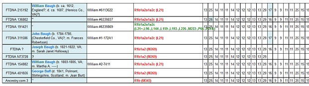 Baugh DNA Project - Results