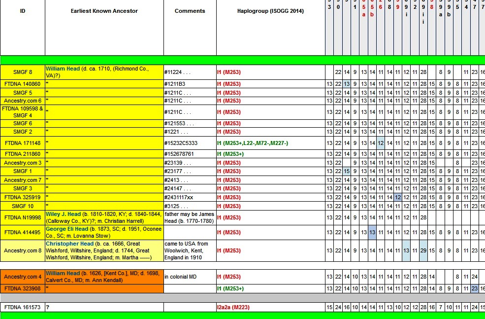 Head DNA Project - Results